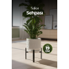 19CM Saksı Sehpası
