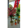 Özel Yapım Çiçek Saksı -7