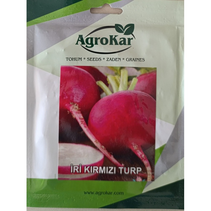 TOHUM TURP İRİ KIRMIZI