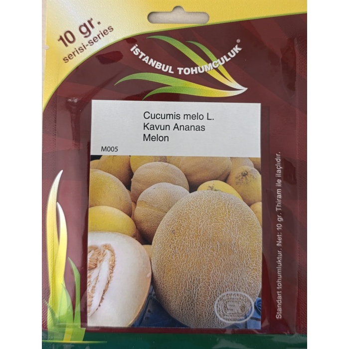 TOHUM KAVUN ANANAS