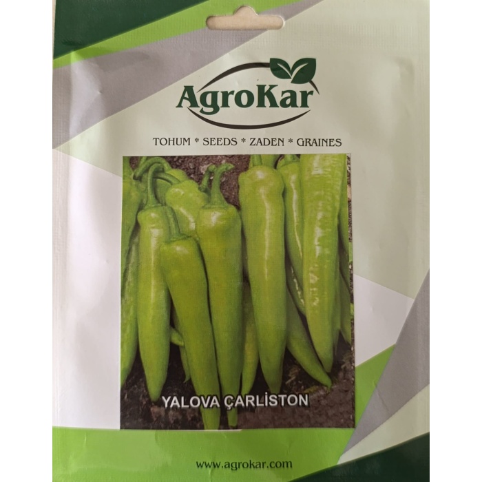 TOHUM BİBER YALOVA ÇARLİSTON