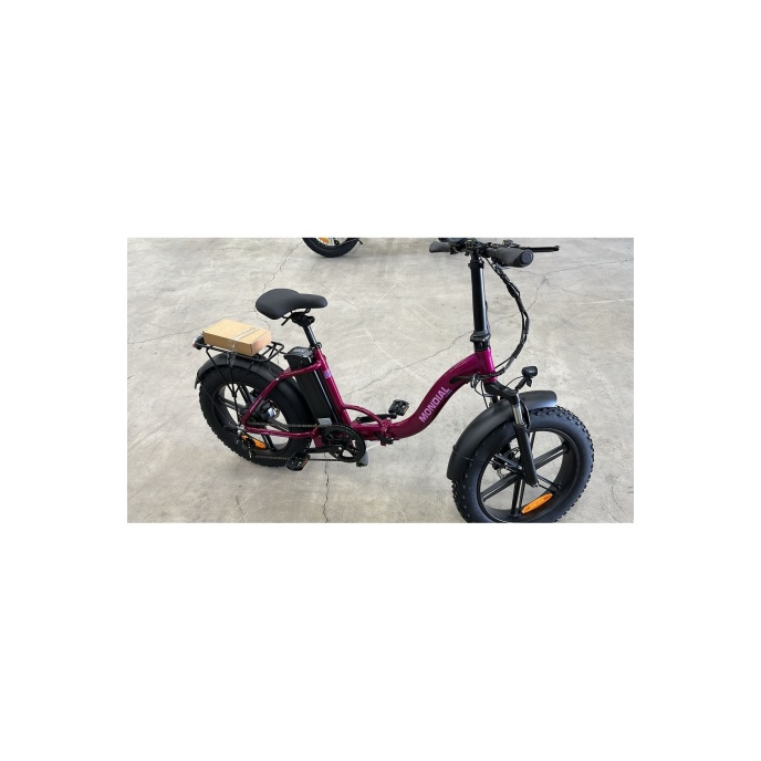 E-BİKE STARLİGHT SM