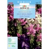 Salvia Horminum Karışık Renkli Adaçayı Çiçeği Tohumu (350 tohum)