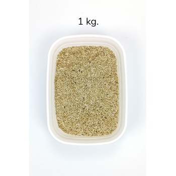 Doğal Taze Kanarya Sade Kuş Yemi - 1 kg
