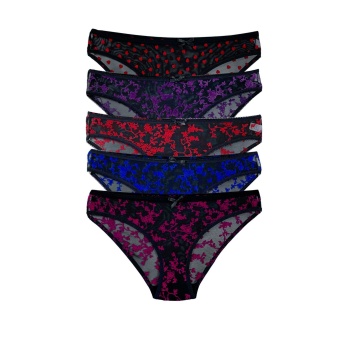 5 Adet Floklu Kadın Transparan Slip Külot