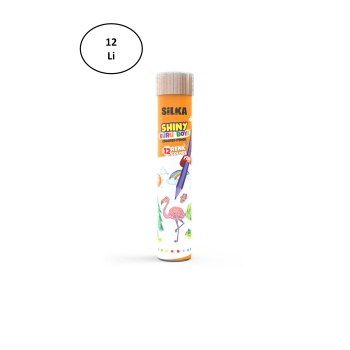 Silka Tüp Tam Boy Kuru Boya 12li