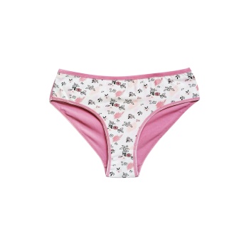 Pamuklu Geniş Kenarlı Likralı Desenli Bato Kadın Külot Desen 5