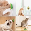 Avokado Model Yapışkanlı Kedi Oyuncağı Yenilebilir Kedi Nanesi Otu (4434)