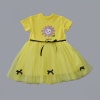 Payet Yapraklı Çiçek Nakışlı Astarlı Kız Bebek Tütü Elbisesi