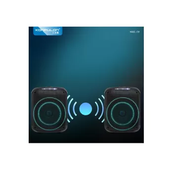 Konfulon F39 25W Sürücülü RGB Işıklı 2 Adet Mikrofonlu Bluetooth 5.3 Kablosuz Hoparlör – Siyah
