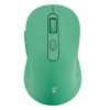 Everest Sm-Bt08 Usb Yeşil 2 In 1 Bluetooth 2.4Ghz Kablosuz Mouse