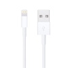 PowerMaster DK-18295 Lightning 1 Metre Iphone Şarj-Data Kablosu
