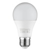 Horoz Electric PREMIER-9 220V 9 Watt E27 2700K Günışığı Led Ampul