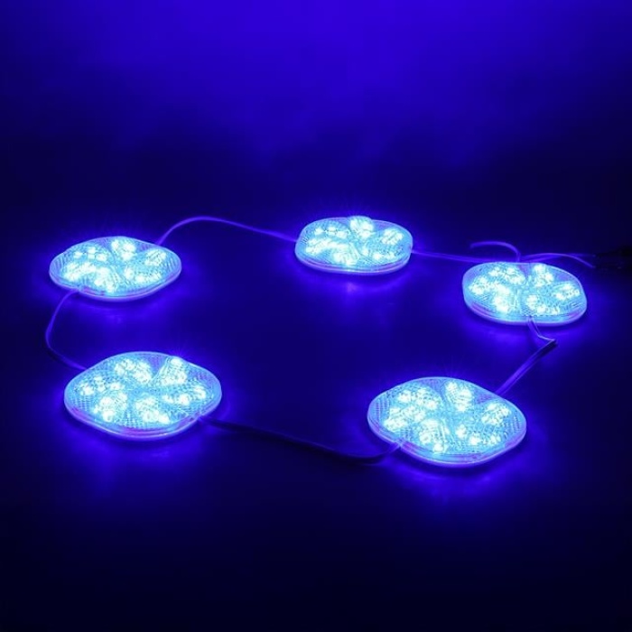 Powermaster 12 Volt 3 Watt Mavi Sabit 6565-2835 Modül Led