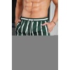  Erkek Basic Standart Boy Çizgili Baskılı Mayo Cepli Deniz Şortu Yeşil