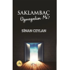 Saklambaç Oynayalım mı?