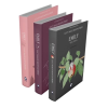 Rüzgârın Kızı Emily Serisi (3 Kitap)