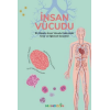 İnsan Vücudu