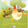 Oluşum Hikayeleri - Civciv nasıl oluşur?