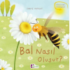 Oluşum Hikayeleri - Bal nasıl oluşur?