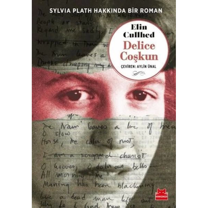 Delice Coşkun - Sylvia Plath Hakkında Bir Roman