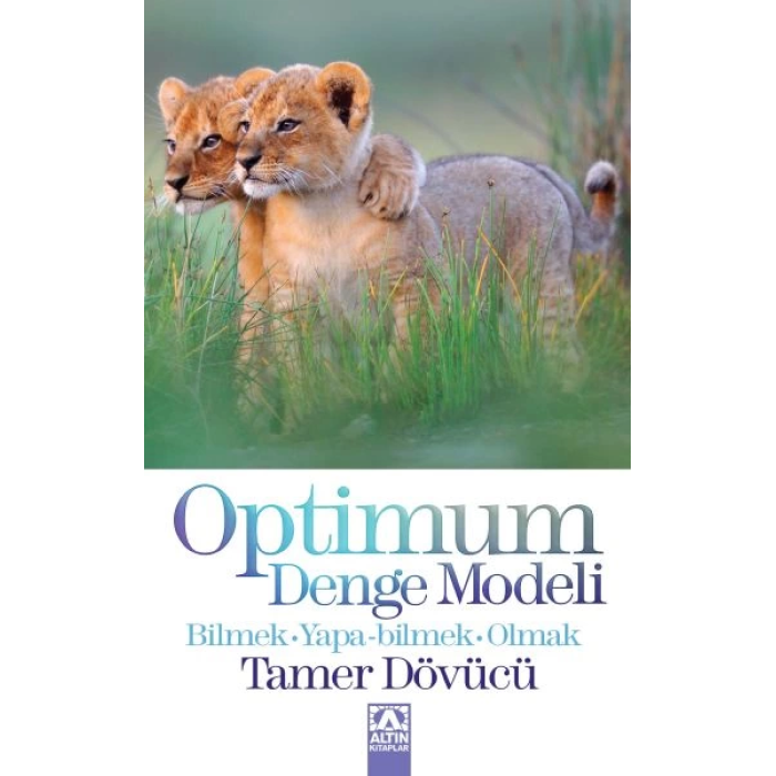 Optimum Denge Modeli