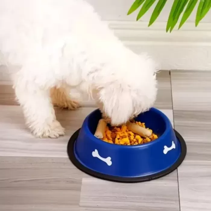 Renkli Kemik Desenli Metal Mama Kabı