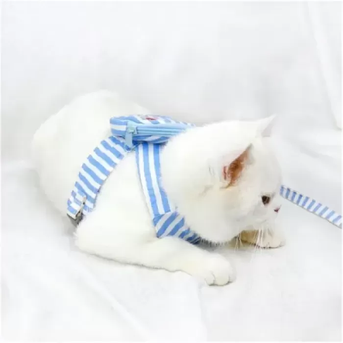 Çantalı Göğüs Gezdirme Tasması Seti