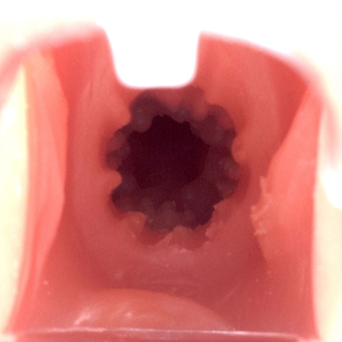 Kong-king  male butt with Dildo