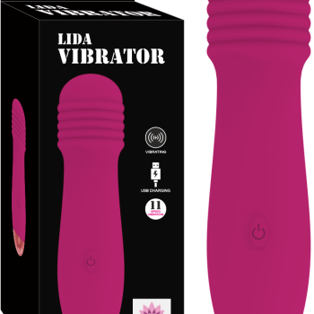 LİDA VİBRATOR