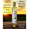 Işkın Otu Melisa Karışım Sirkesi 500 ml