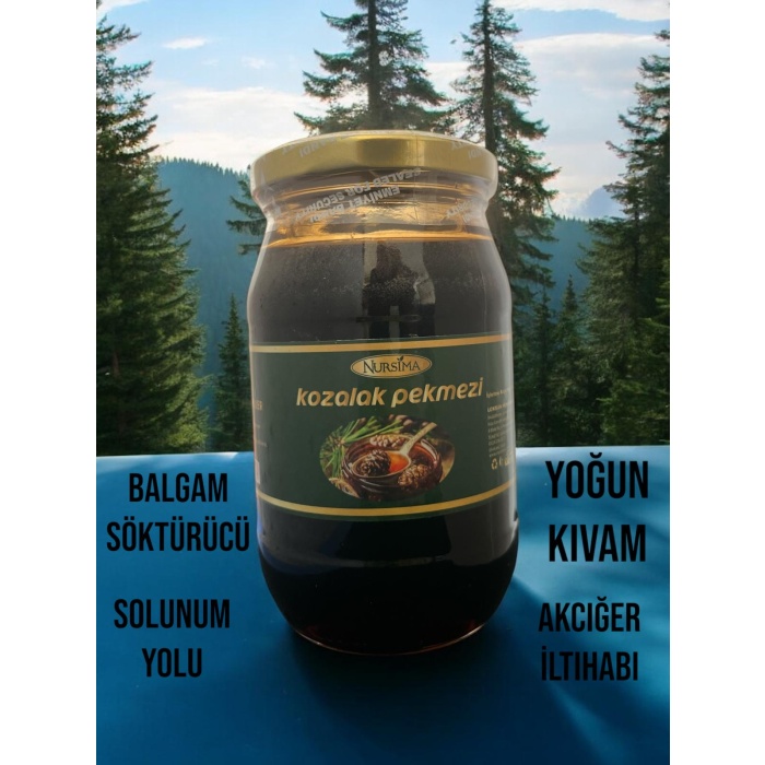 Selvi Kozalak Pekmezi 420 gr