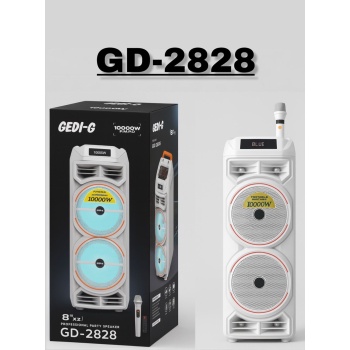 Profesyonel Party Speaker GD-2828