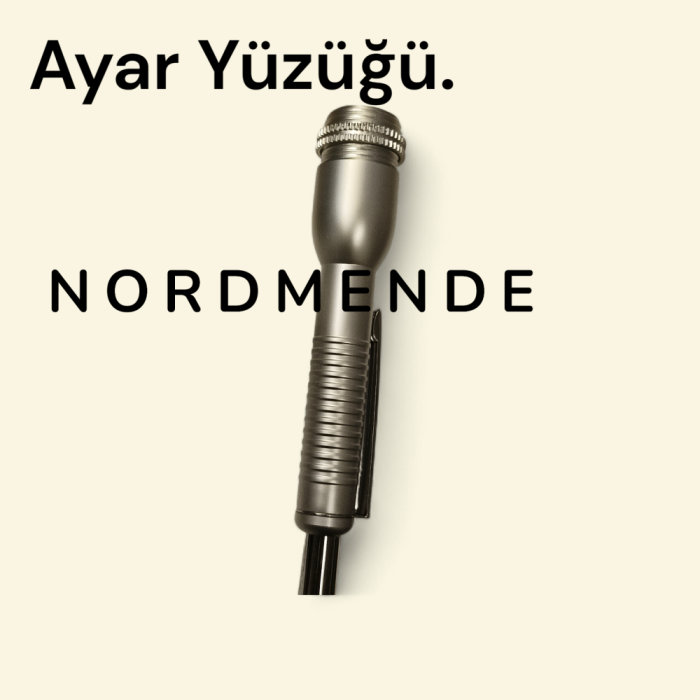 3 Uçlu Metal - İğne Ucu Ayarlamalı Hacamat Kalemi – Profesyonel ve Hijyenik