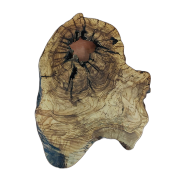 GST Titan Doğal Form Kök 15/18 X 25/35 Cm