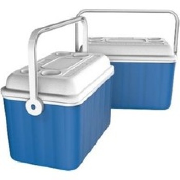 Ice Box 25 Litre Renkli Oto Termosu