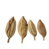 GST Zeytin Yaprağı Tabak - Büyük 37 X 11 Cm
