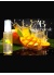 Aurora Boreale Mango & Afrodizyak Aromalı Kayganlaştırıcı Jel 100 ML