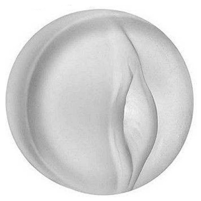 Yeni Nesil Şeffaf Sleeve Plus Penis Pompası Için Vajina Başlık