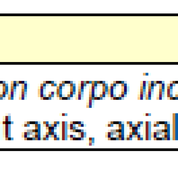 Brevini H1c p 040 CAW LP2 DX Eğik Eksenli Pistonlu Pompa