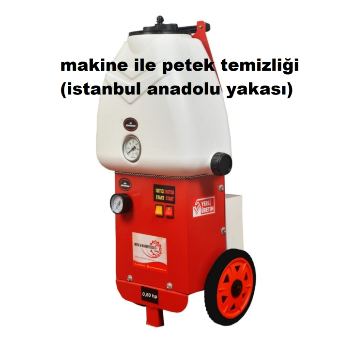 PETEK TEMİZLİĞİ (MAKİNE VE KİMYASAL İLE)