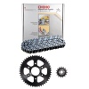 Bajaj Dominar 400 Zincir Dişli Set O-ringli 14t/45t choho