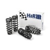 H&R E9X M3 Sport Spring Set