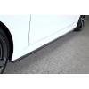 3D Design F30 / F31 3-Series M-Sport Carbon Side Skirt Set