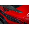 Vorsteiner Huracan Novara Edizione Carbon Wing + Aluminum Upright Set