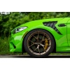 Alpha-N F87 M2 Carbon Fender Set