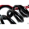 Novelli Competizione - Ferrari Performance Lowering Spring Kit