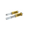 Ohlins Boxster / Cayman (981 / 982) Incl. S Models Coilover Suspension - Road & Track