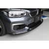 3D Design F20 1-Series LCI M-Sport Carbon Front Lip