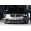 3D Design F20 1-Series LCI M-Sport Carbon Front Lip